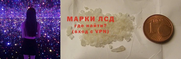 индика Балахна