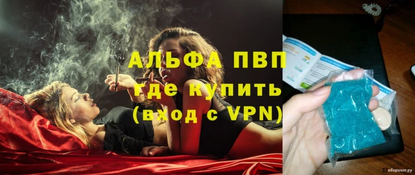 индика Балахна
