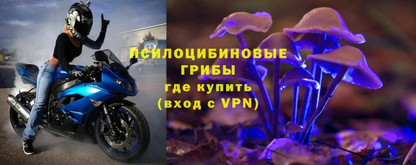 индика Балахна