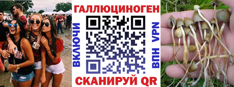 Галлюциногенные грибы MAGIC MUSHROOMS  где продают   Волосово 